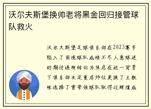 沃尔夫斯堡换帅老将黑金回归接管球队救火